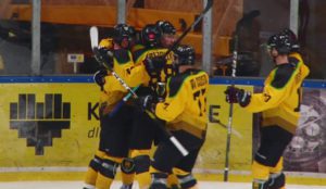 Hokej GieKSa GKS Katowice
