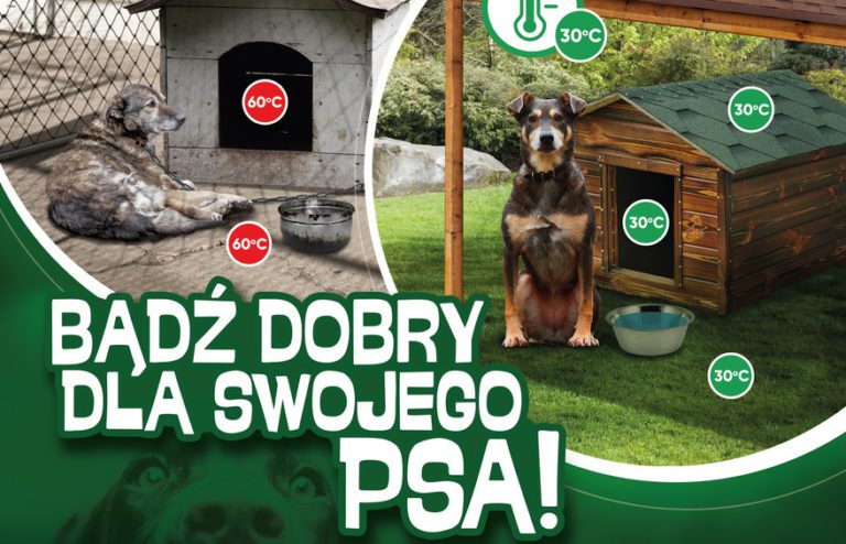 Badz dobry dla swojego psa