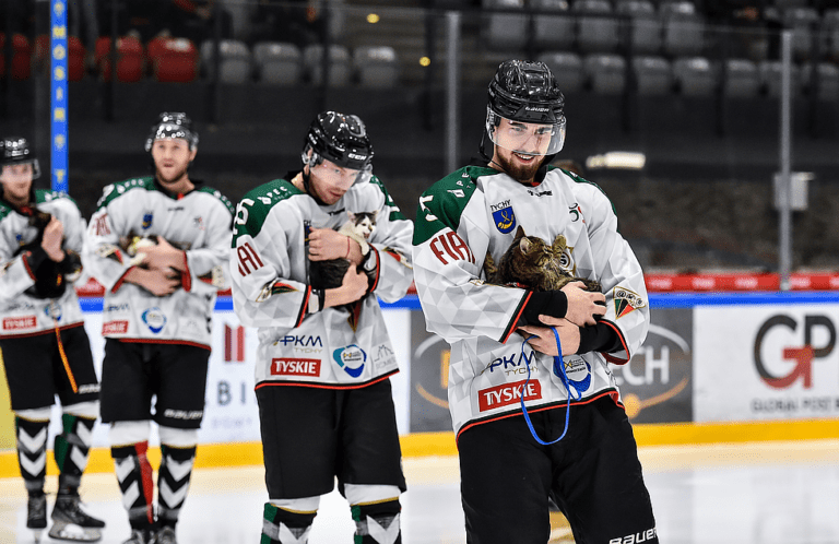 GKS Tychy psy i koty na lodowisku