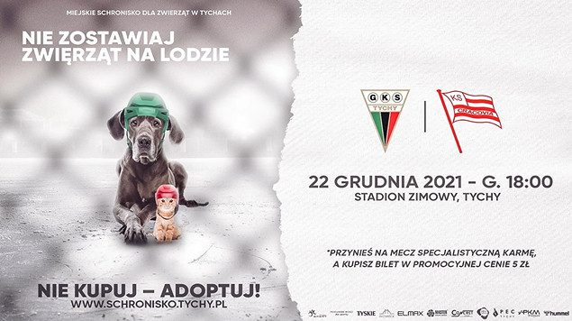 Hokeisci GKS Tychy wyjada na lod w asyscie psow i kotow