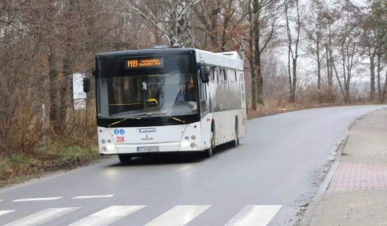 Autobus linia Metrolinia M19 zrodlo UG Psary