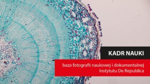 Instytut De Republica poszukuje fotografii dokumentujacych polska nauke
