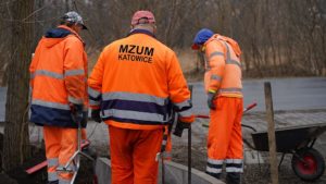 Prace pielegnacyjne drzew i pozimowe naprawy nawierzchni MZUiM w Katowicach