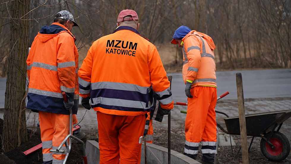 Prace pielegnacyjne drzew i pozimowe naprawy nawierzchni MZUiM w Katowicach