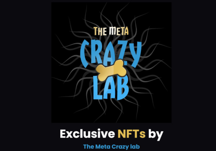 The Meta Crazy Lab 2022