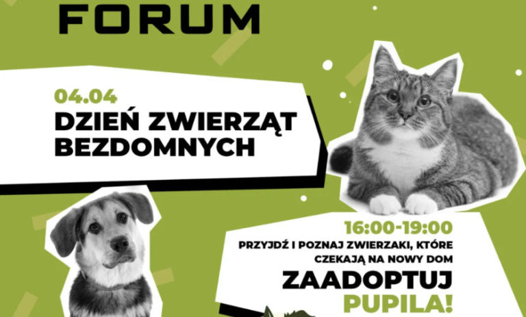 4 kwietnia Dzien Zwierzat Bezdomnych w CH FORUM