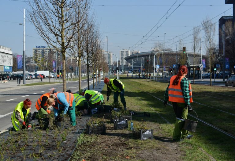 al. Korfantego fot. ZZM w Katowicach1