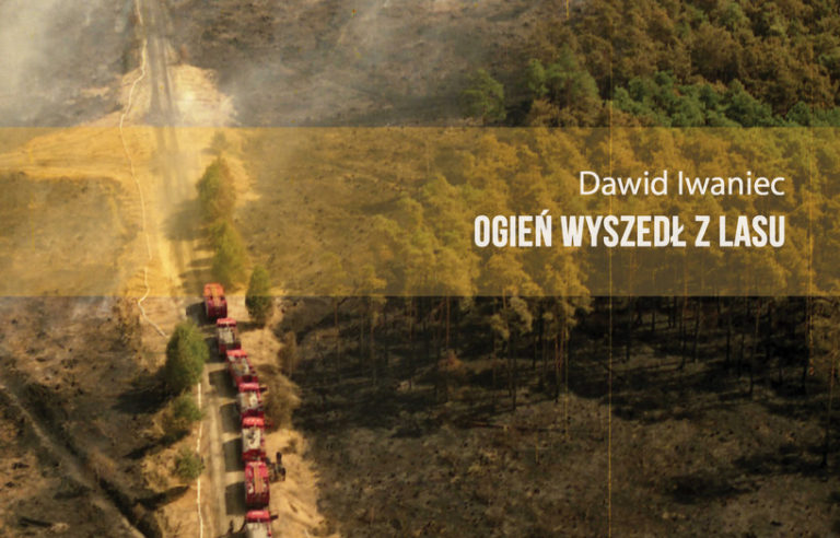 OGIEN WYSZEDL Z LASU Dawida Iwanca