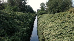 Jednych przyciaga i fascynuje innych odpycha. Rawa stala sie bohaterka filmu