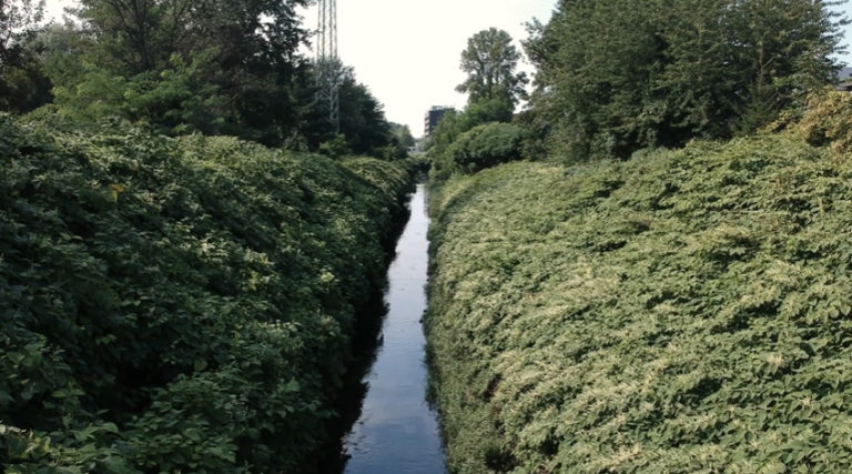Jednych przyciaga i fascynuje innych odpycha. Rawa stala sie bohaterka filmu