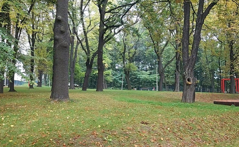 Park Bogucki
