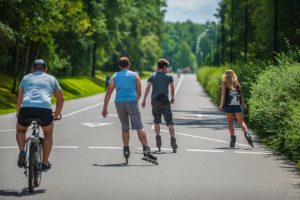 Muchowiec oraz Dolina UM Katowice