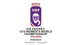 W Katowicach w styczniu odbeda sie Hokejowe Mistrzostwa Swiata Juniorek