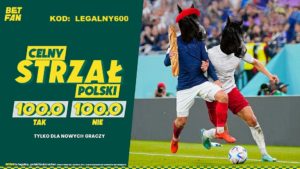 Wybierz czy Polska odda celny strzal w meczu z Francja i zagraj swoj typ po kursie 100.0