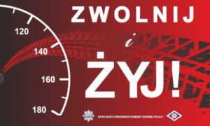 zwolnij i zyj