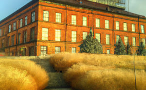 miasto budynek