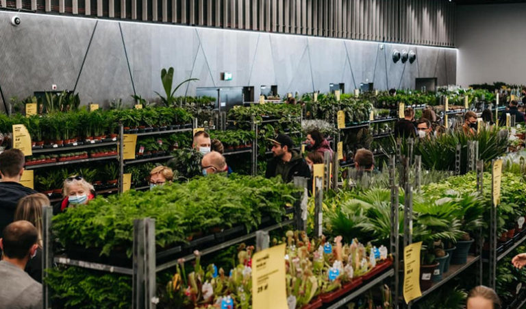 Piata edycja najwiekszego targu roslin doniczkowych 4 i 5 marca w Czestochowie