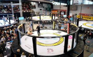 Setki walk i zawodnikow. Podsumowanie 6. Mistrzostw MMA w Warszawie