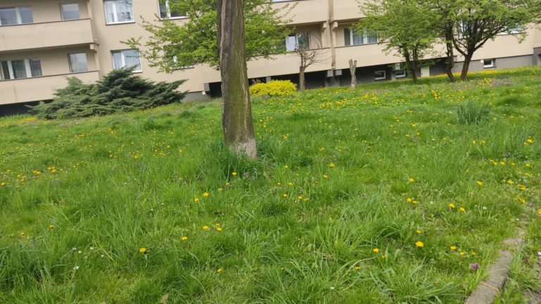 ul osiedle Witosa Katowice wiosna latp laka blok