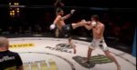 KSW Youtube