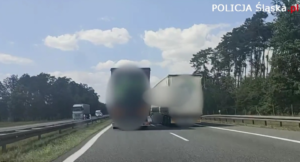 Wyścigi słoni na celowniku drogówki