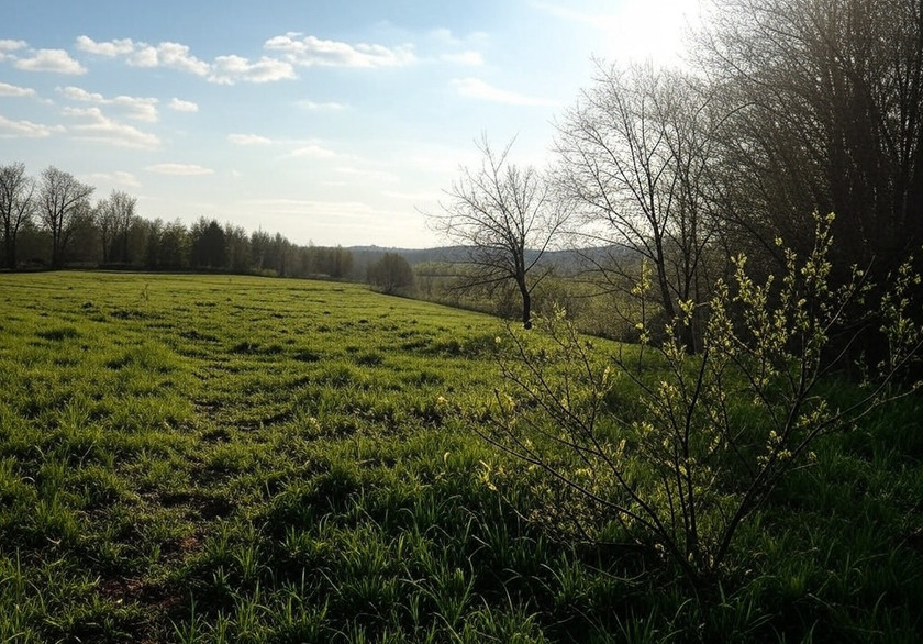 Wiosna w Polsce – astronomiczne i kalendarzowe początki oraz prognozy pogody