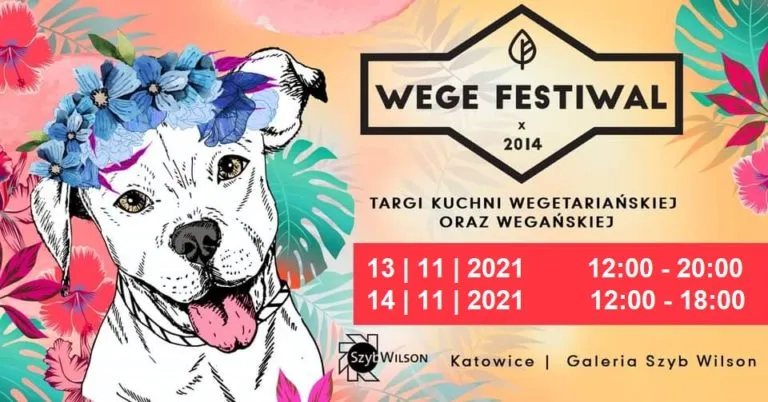 Wege Festiwal Silesia 13 14 XI w Katowicach