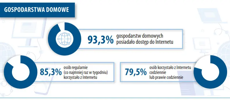 Internet W Polsce 2023 Gospodarstwa Domowe