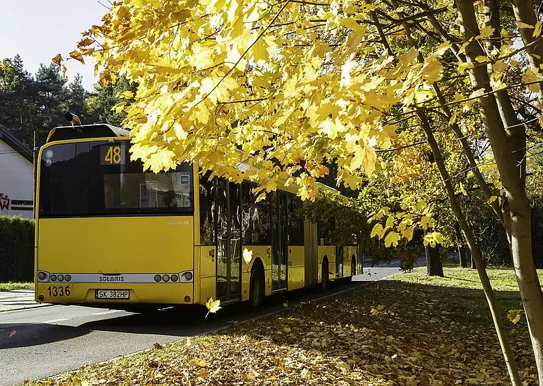 Modyfikacjami Objeta Zostanie M.in . Linia Autobusowa 48 W Katowicach Liscie Jesien