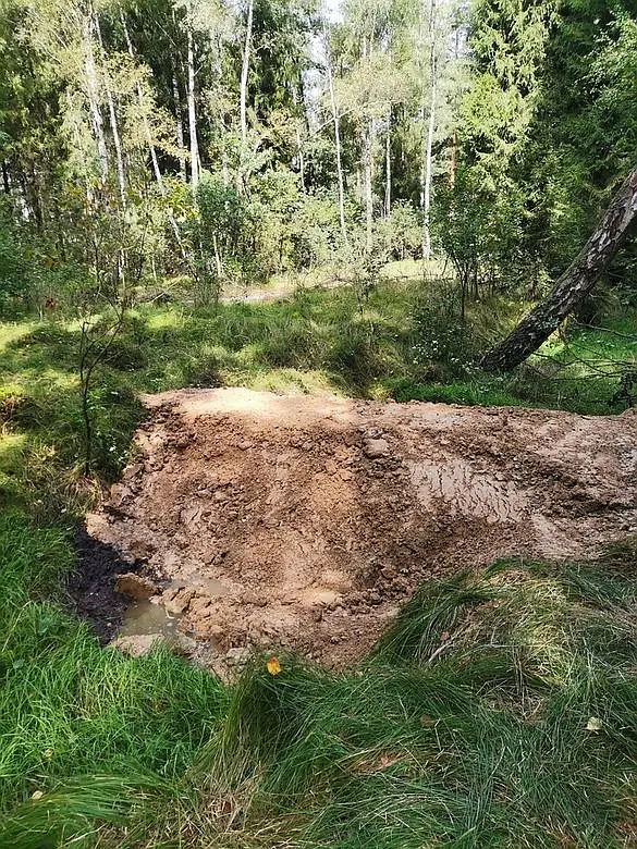 Ukonczone Przetamowanie Rowu Odwadniajacego Torfowisko