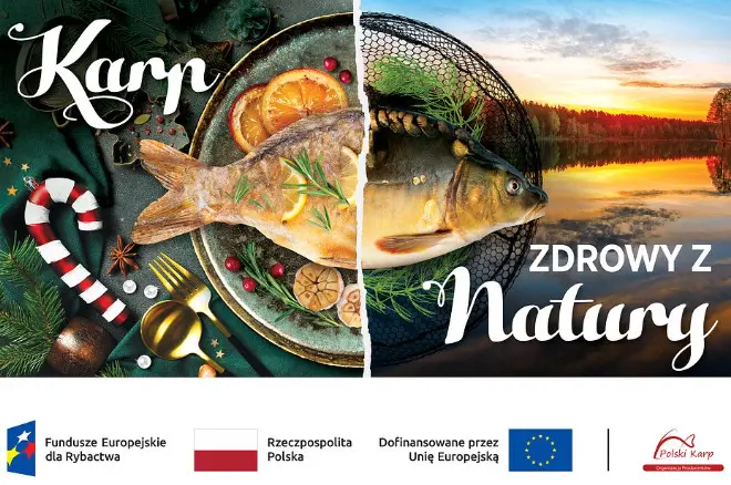 O Kampanii Karp – Zdrowy Z Natury