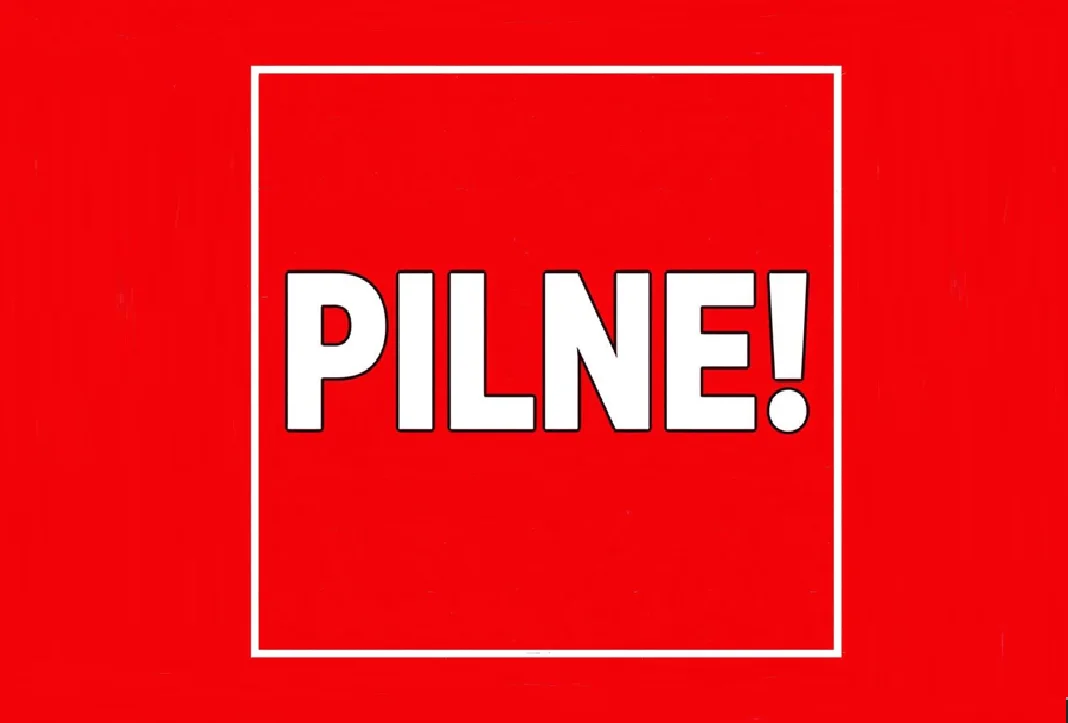 PILNE