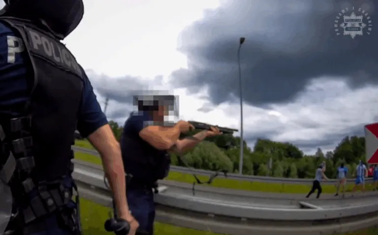 Policja Zapobiegla Konfrontacji Pseudokibicow Z Chorzowa I Jastrzebia Pod Mszana Fot Slaska Policja