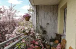 Balkon W Kwiatach