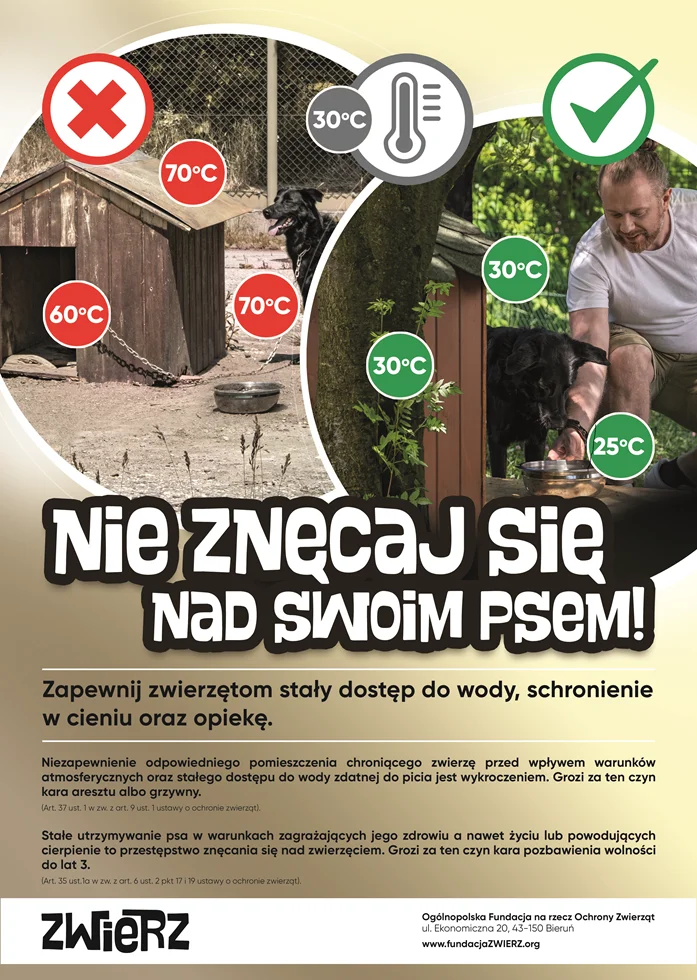 ZWIERZ Akcja Lato Plakat