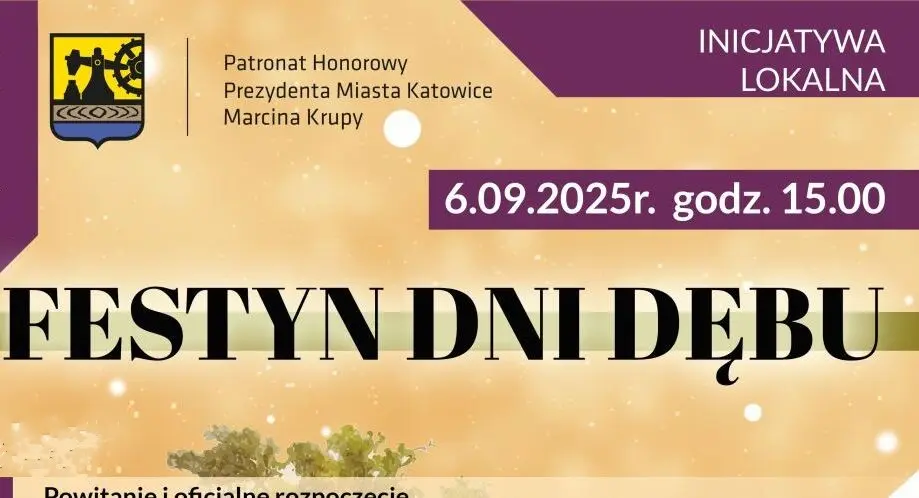 Festyn Dni Debu 2025