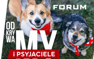 KTO ZOSTANIE PSIM AMBASADOREM FORUM