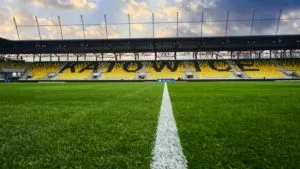 Murawa Na Arena Katowice