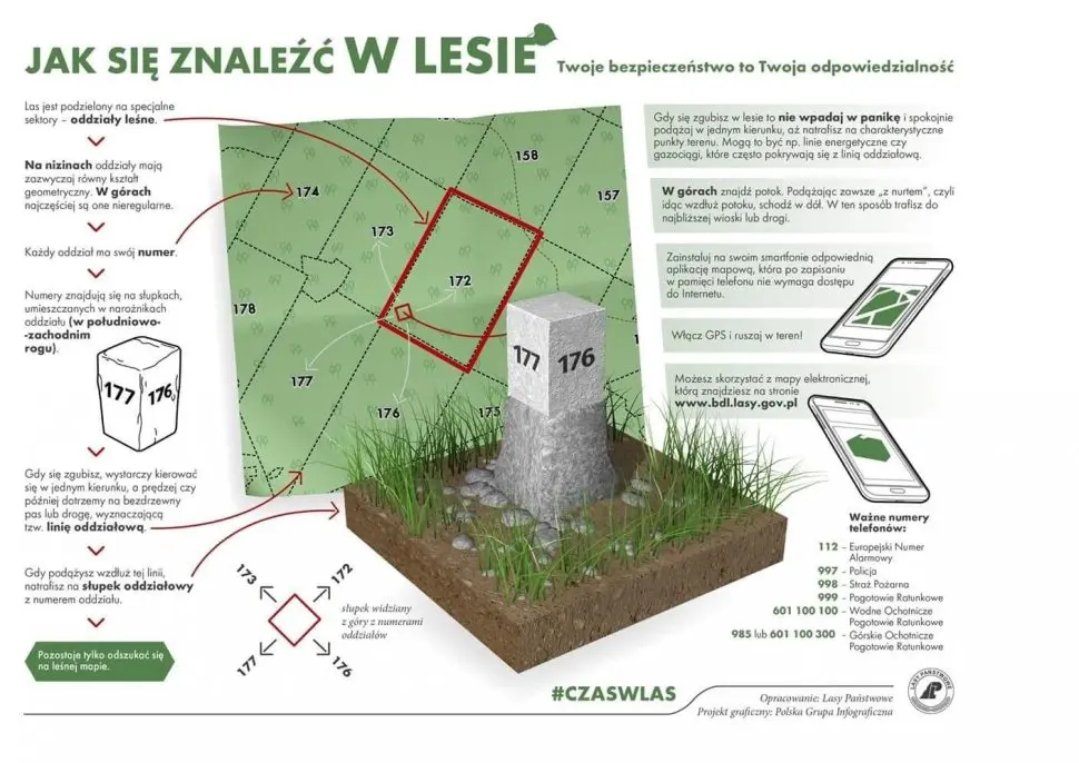 Plakat Informacyjny Bezpieczne Grzybobranie