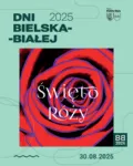 Instagram Nowy SWIETO ROZY Ok