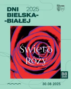 Instagram Nowy SWIETO ROZY Ok