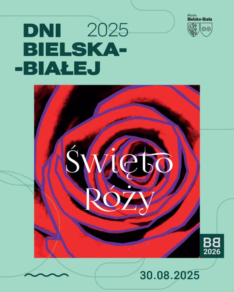 Instagram Nowy SWIETO ROZY Ok