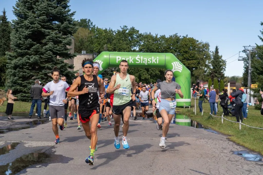 UlicznamilaPL Start Parkowa Piatka