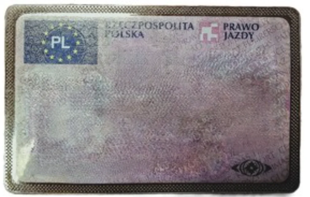 Kupowali Prawo Jazdy