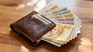 W Portfelu Polskie Banknoty Pieniadze
