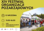 XIV Festiwal Organizacji Pozarzadowych W Katowicach Swieto III Sektora W Parku Powstancow Slaskich