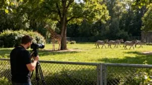ZOO