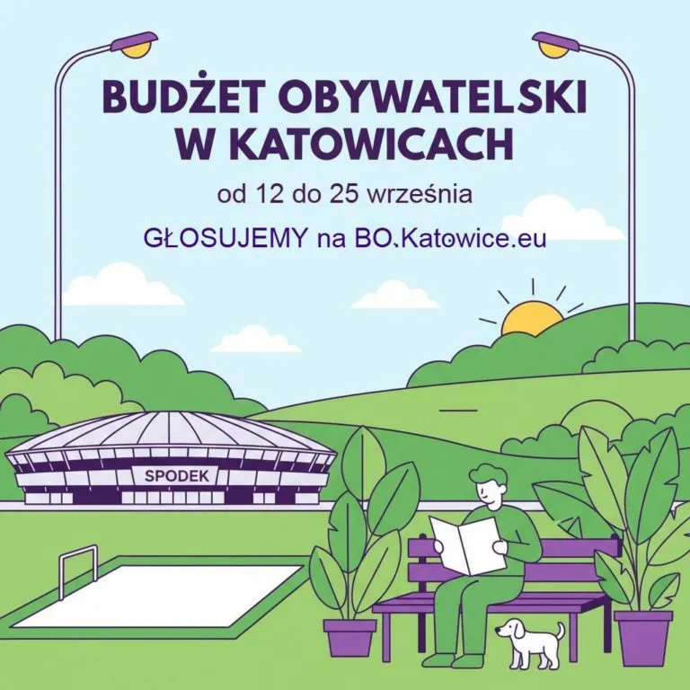 Jak Glosowac Budzet Obywatelski Poradnik Dla Glosujacych