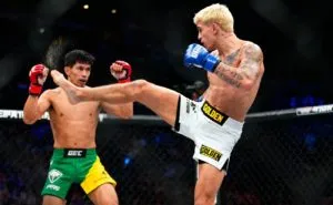 MMA UFC