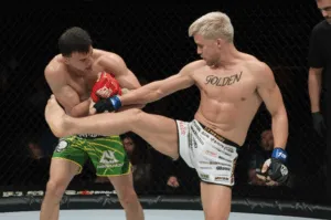 MMA UFC KSW Oktagon Klatka Ring